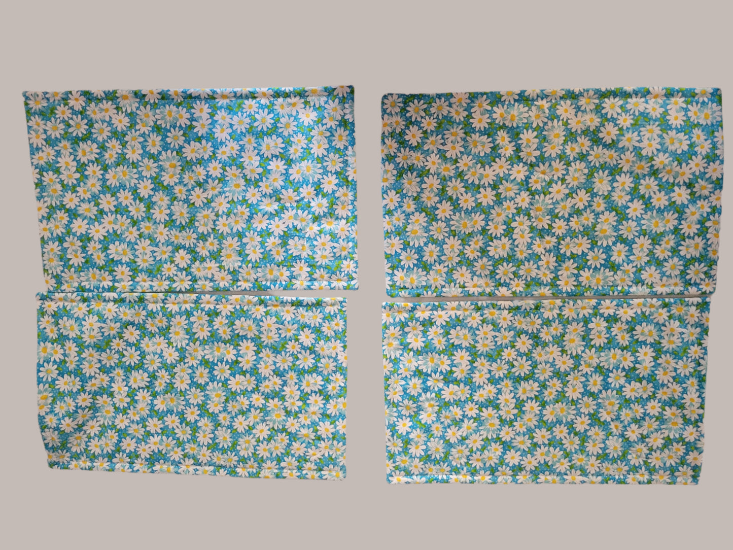 Gnome Placemats