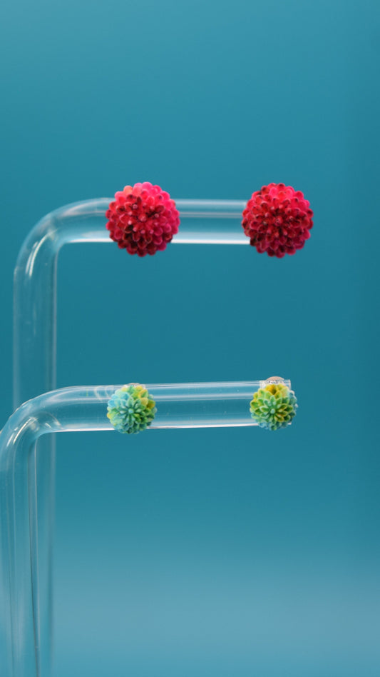 Hot pink with flakes of black colored dahlia flower shaped stud earrings, paired with a smaller dahlia bloom featuring blue and green coloring. Displayed on a clear stand against a teal background.