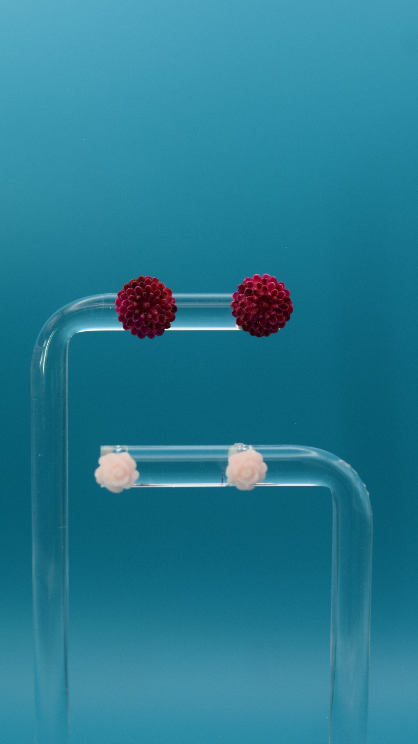 light and dark burgundy colored dahlia flower-shaped stud earrings, paired with light pink almost white colored small rose. Displayed on a clear stand against a teal background.
